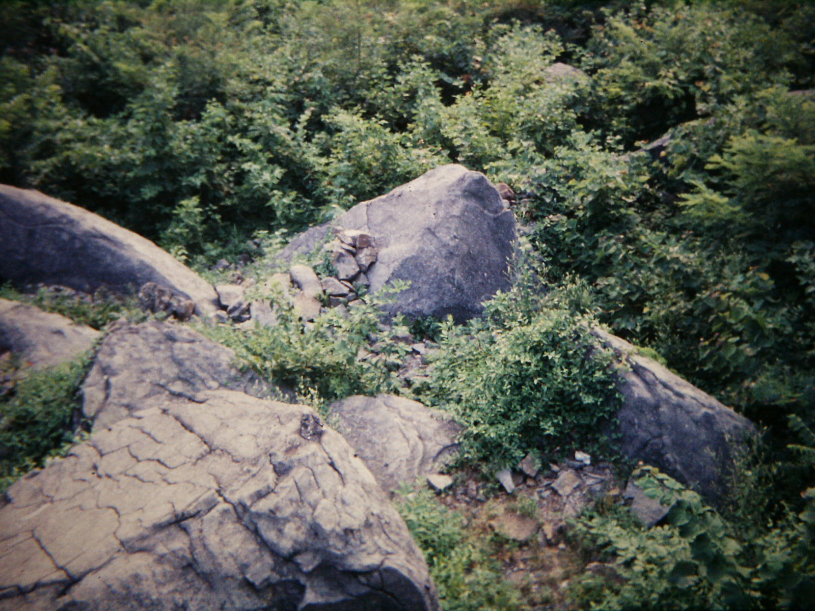 Rocky, wooded hillside of Little Round Top on the Gettysburg battlefield